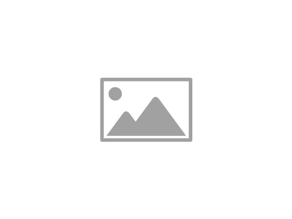 Category: Gazon
