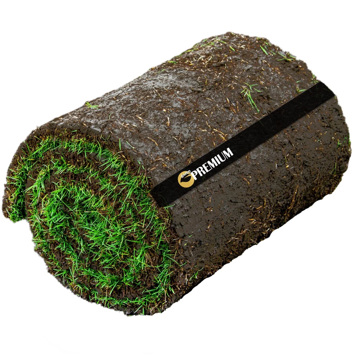 Gazon sort